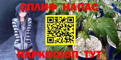 прущие грибы Пушкино