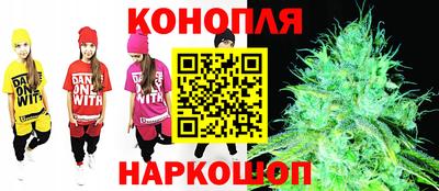 прущие грибы Пушкино