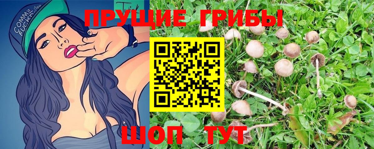 Новочебоксарск  Псилоцибиновые грибы Magic Shrooms  Вход с VPN 