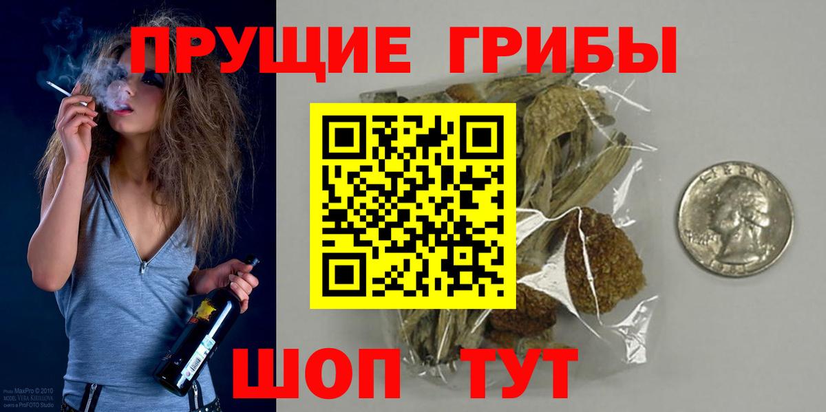Галлюциногенные грибы Psilocybine cubensis Новочебоксарск